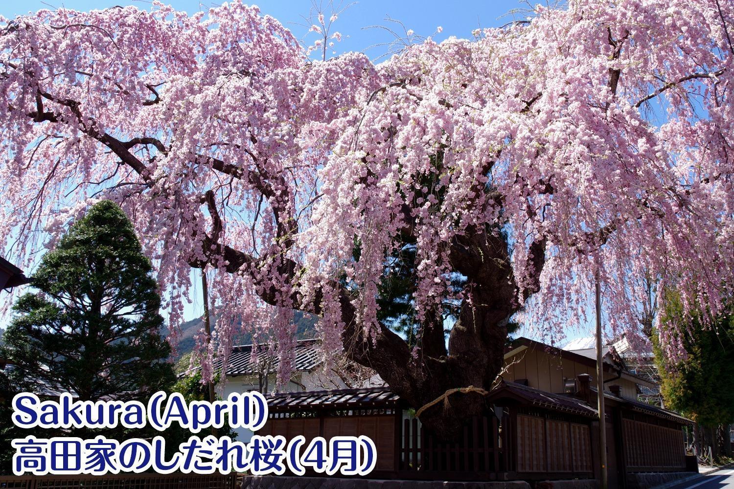 Nikko Stay House Arai - Vacation Stay 14988V المظهر الخارجي الصورة